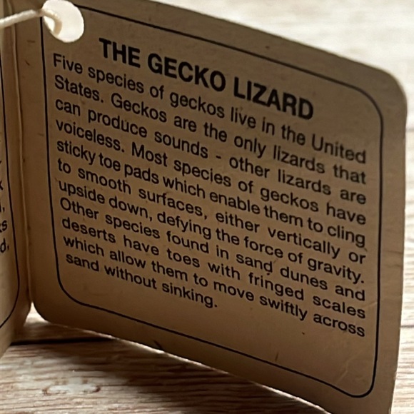 NWT The Gecko Lizard by LaZart Collector Series Figurine Southwestern Metal Art - Picture 3 of 11